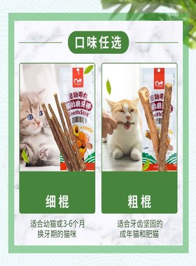 cats molar stick young bite tease stick mint snack pet produ