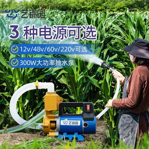 艺锦园大功率电动抽水泵