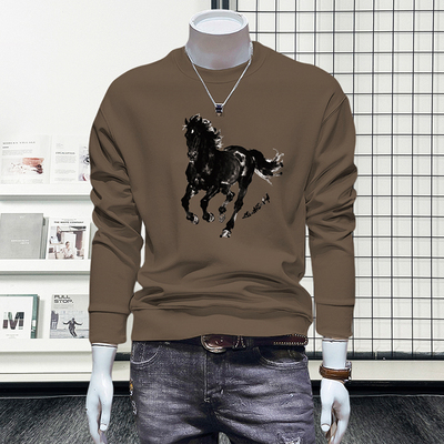 蓝晟依卫衣男款爆款2025新款秋季外套休闲百搭上衣加绒打底衫5272