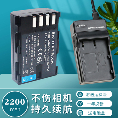 适用于DMW-BLF19E电池充电器