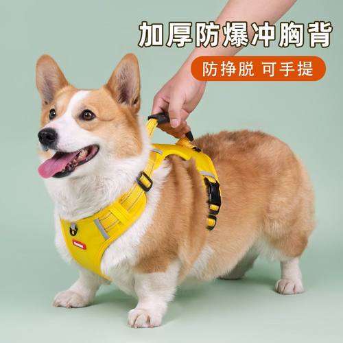 狗狗牵引绳中小型犬柴犬柯基胸背