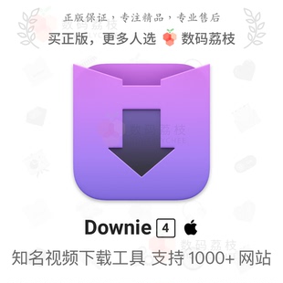 Downie 4 [单用户版] Mac在线网页4/8K视频音频素材提取 downie