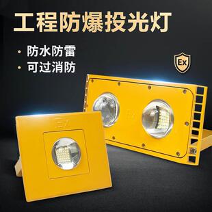 LED防爆灯隧道灯24V36V220防空洞投光灯地铁管廊工程灯具防水户外