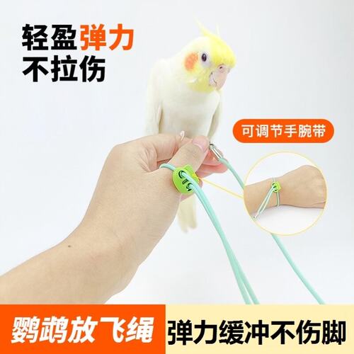 鹦鹉放飞绳溜鸟绳脚链超轻不伤脚玄凤牡丹虎皮外出训练牵引飞行绳