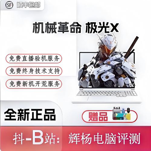 机械革命极光X极光X潮玩版游戏本