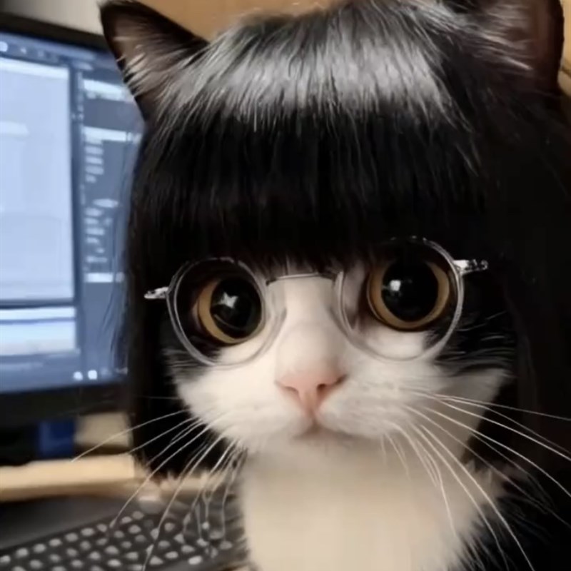 宠物猫咪假发波波头齐刘海金三柜同款头套狗狗网红同款搞笑金渐层