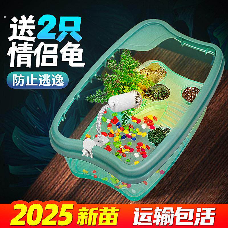 乌龟缸养乌龟缸大小号专用缸塑料盆宠物盒饲养缸水陆缸防逃逸巴西