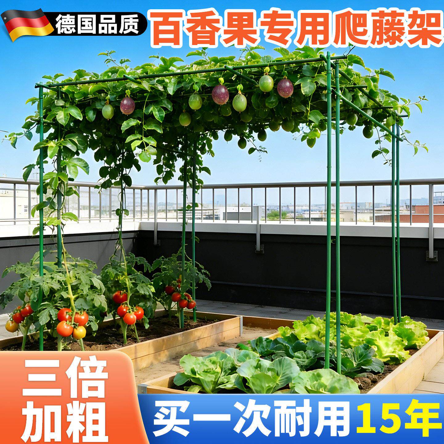 百香果专用爬藤架葡萄架子庭院户外黄瓜豆角架杆葫芦搭棚子支撑架
