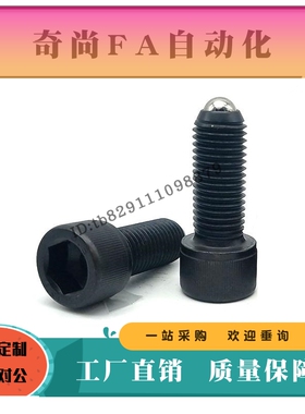 60球头柱塞BPRL4 5 6 8 10 12 16-10 15 20 25 30 40内六角螺栓50