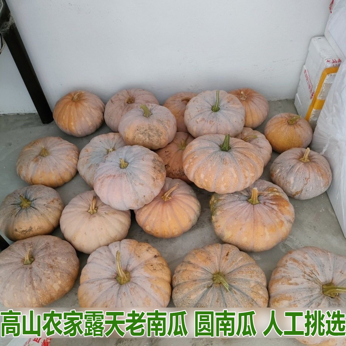 老南瓜粉糯甜新鲜老品种老黄南瓜蔬菜新鲜辅食农家自种磨盘圆南瓜