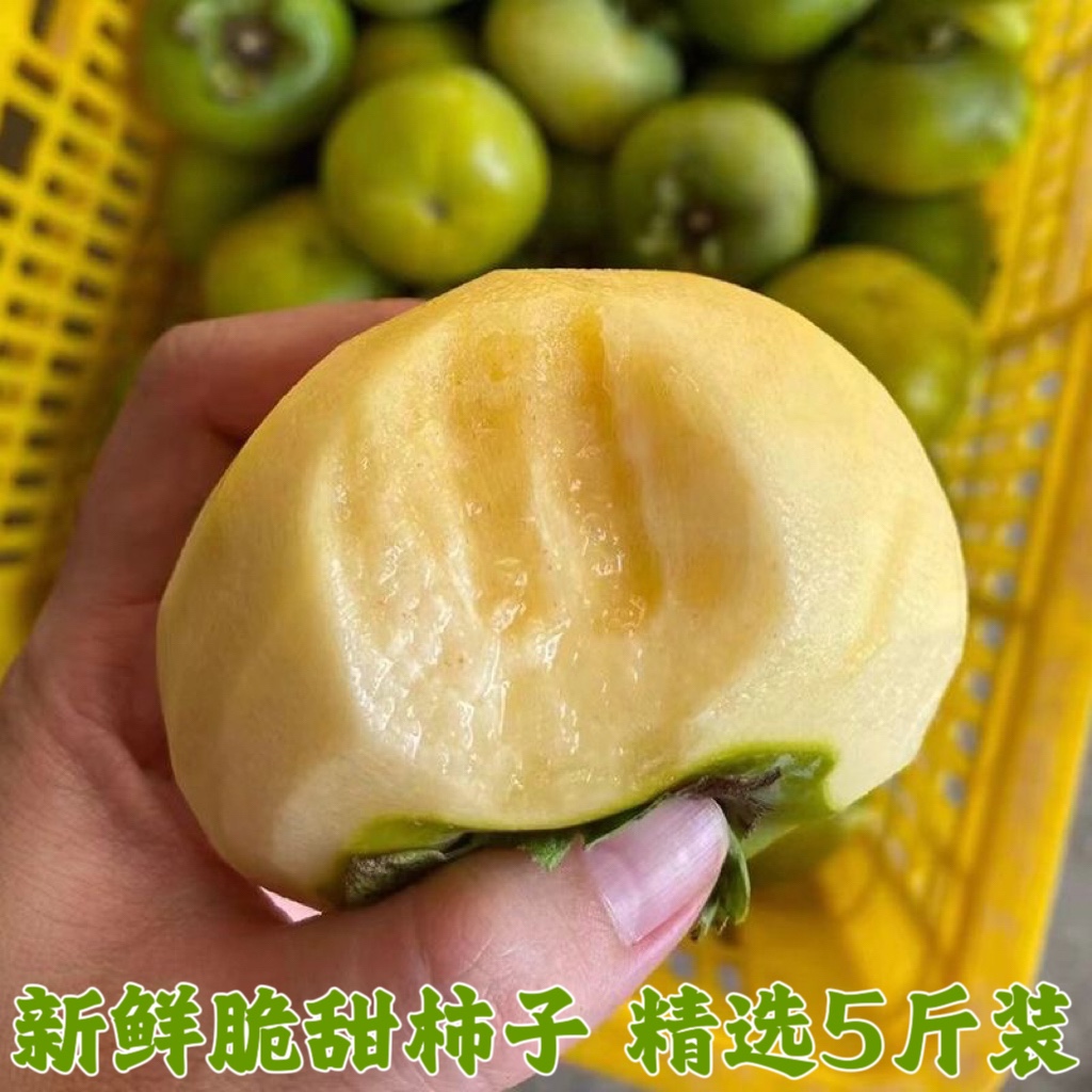 水果脆柿子新鲜应季脆甜不涩硬柿子甜脆柿子糖心硬脆柿削皮吃包邮