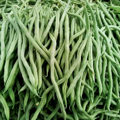 湖北农家架豆王豆角无筋芸豆龙豆现摘现发包邮自种豆角新鲜蔬菜