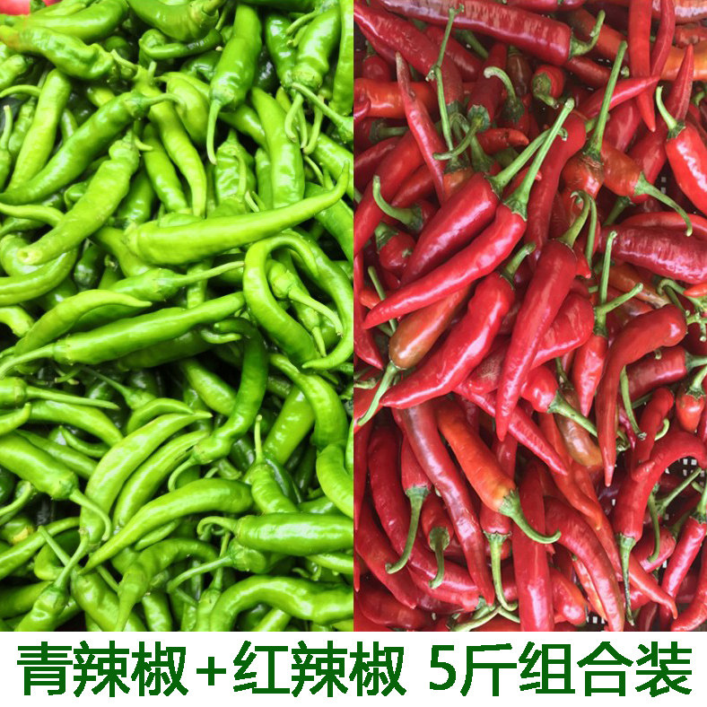 农家蔬菜组合新鲜辣椒红杭椒青杭椒红尖椒青尖椒青辣椒红辣椒包邮