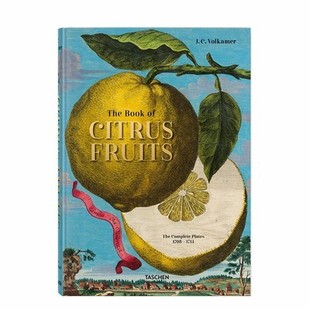 柑橘画册 Book 原版 艺术画集画册 水果商人J.C.Volkamer Fruits Citrus The 现货