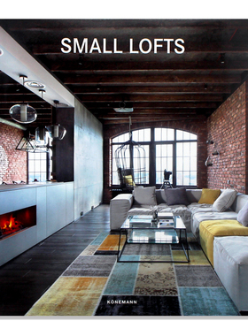 现货 Small Lofts 小LOFT装修手册 室内空间装潢设计 英文原版