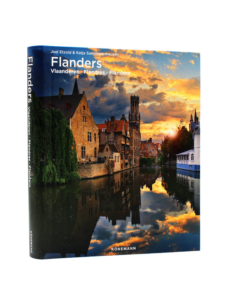 现货 小本 Flanders 弗兰德斯 高耸的高塔 风景如画的市场广场 西方艺术和文化 进口原版 多语种