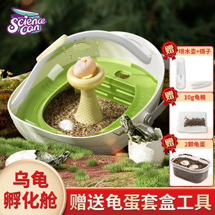 科学罐头乌龟蛋可孵化套装养动物成长仓舱中小学生昆虫观察盒玩.