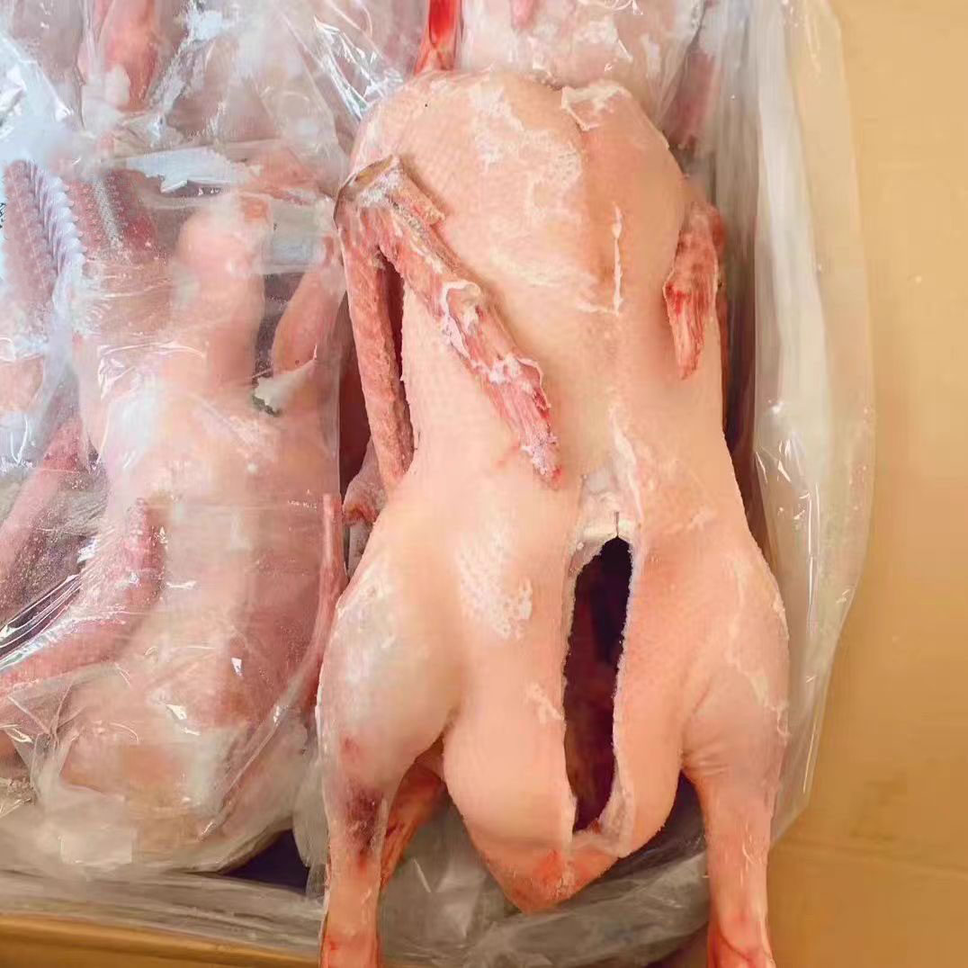 东北黑龙江农家草原散养150天大包笨大鹅净膛/带心肝半净膛白条鹅