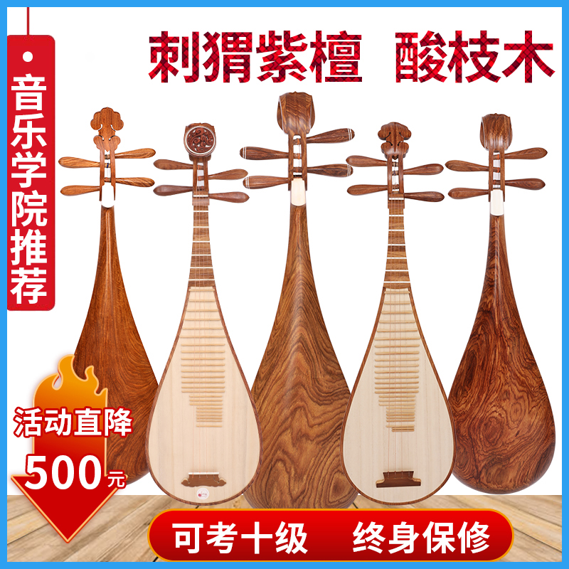琵琶乐器初学入门考级专业演出花梨琵琶中号儿童成人红木琵笆乐器