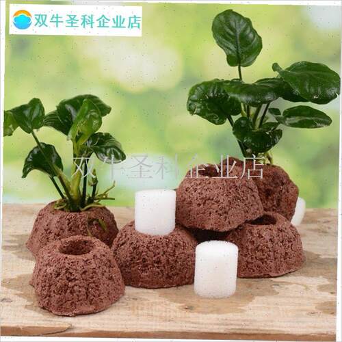 鱼缸水培植物固定架定r植篮壁挂吸盘式水草杯鱼缸造景装饰配件造.