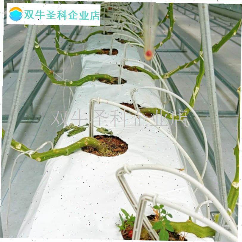 无土栽培蔬菜草莓西红柿椰糠基质C种植有机立体栽培条袋营养土进.