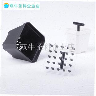 番杏科移苗器定植点播板插v苗栽苗神器肉锥生石花种植整齐打洞工.