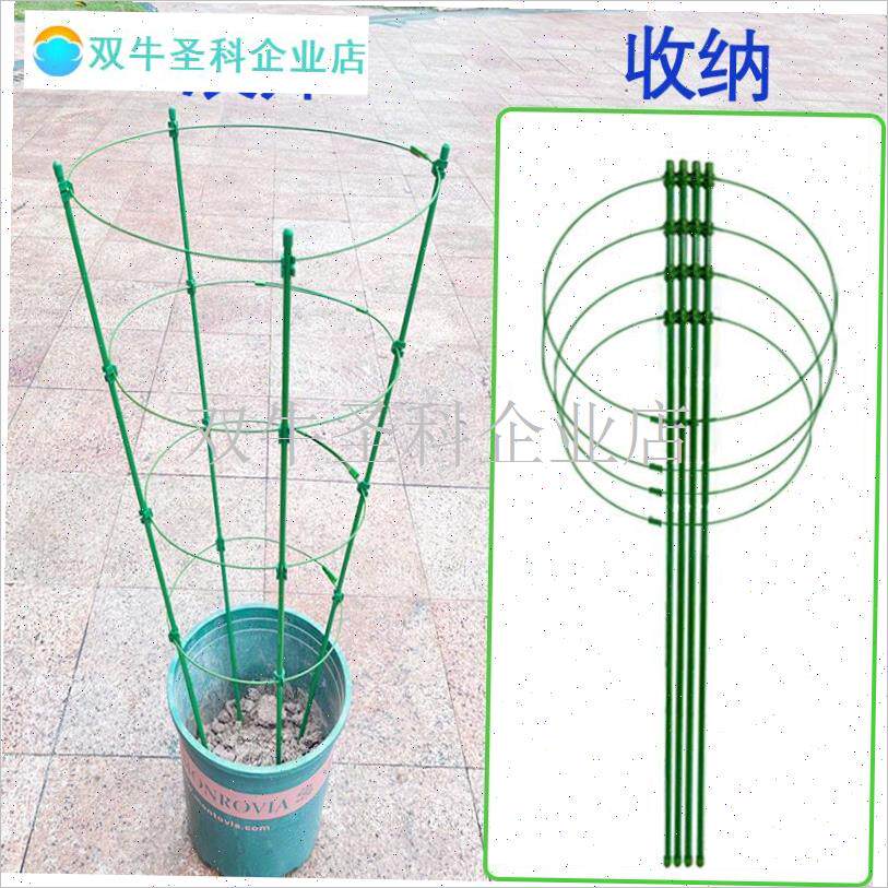 文竹支撑架爬g藤架子月季花架室内花卉植物支伸缩杆X黄金葛铁线 .