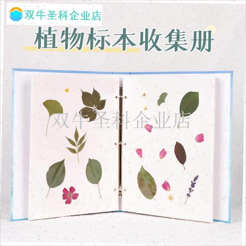 儿童植物标本收集册n树叶干花标本册活页卡册覆膜DIY相册四叶草.