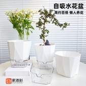 花盆免浇水自动吸水懒人花盆多肉绿萝月季 室内阳台创意塑料种植盆