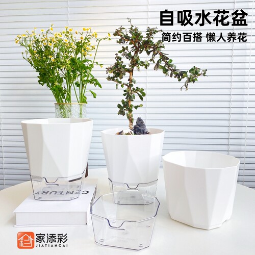 简约自吸水懒人塑料花盆加厚耐用