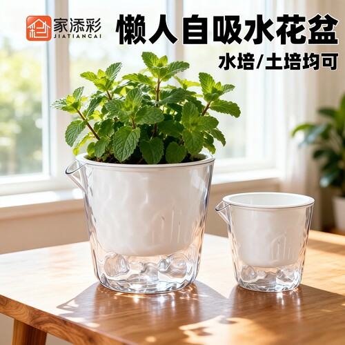 特大号懒人自吸水花盆绿萝龟背竹专用种植盆水培器皿透明塑料花盆