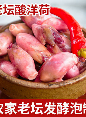 陕南安康特产酸洋荷姜新鲜泡阳荷姜蔬菜洋荷酸辣下饭菜腌制阳荷姜