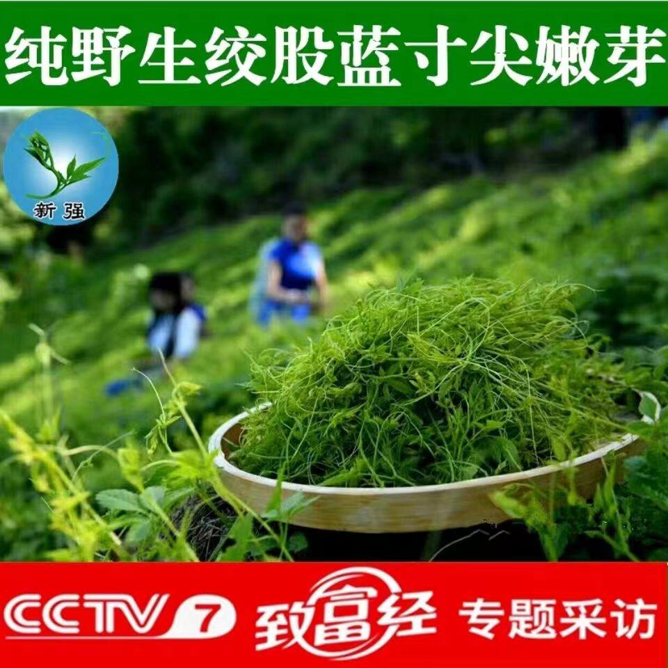 平利正品野绞股蓝龙须茶陕西安康特产七叶五叶嫩芽新茶泡水喝