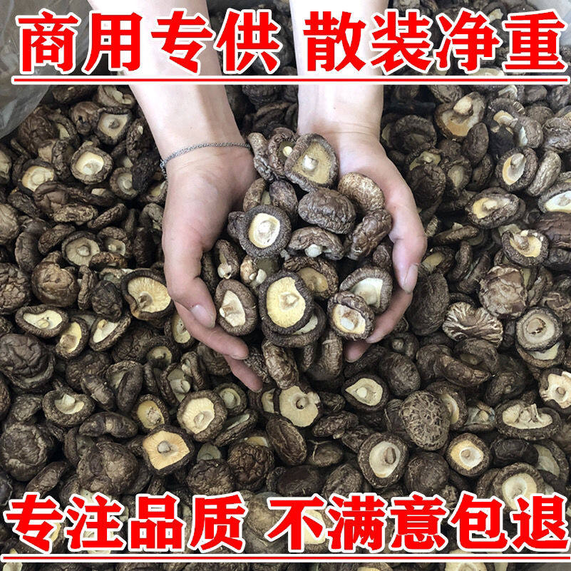 香菇干货厚肉干香菇椴木菇