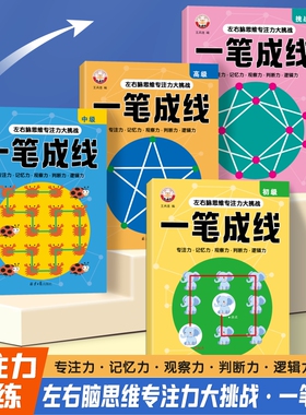 一笔成线 全脑思维训练幼儿连线图形训练逻辑思维提升专注力训练3-6-8岁走迷宫大闯关动手动脑左右脑开发书幼儿园小班中大班益智