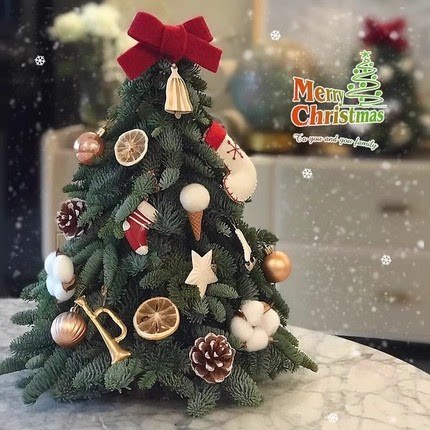 圣诞树新款诺贝松圣诞树家用仿真