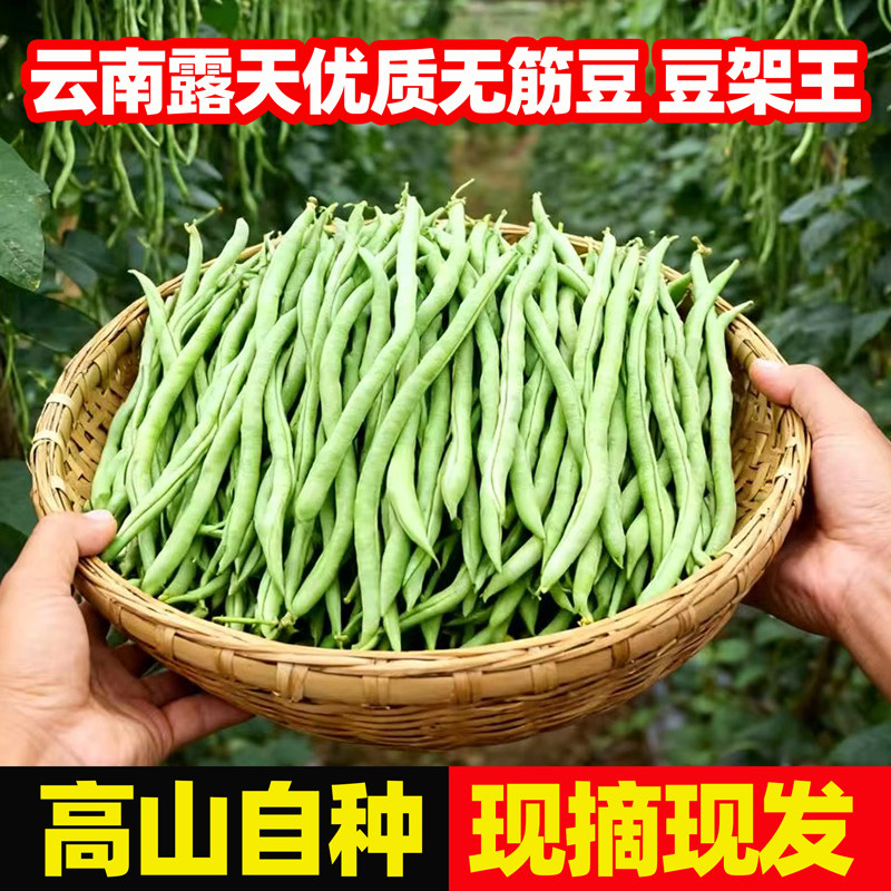 新鲜无筋豆现摘豆角豆架王现摘现发新鲜当季时令蔬菜,水产肉类/新鲜蔬果/熟食,新鲜豆类,淘宝优惠券,粉丝福利购,淘宝优惠卷