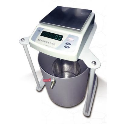 静水力学天平电子天平秤称0.1g2100g3100g