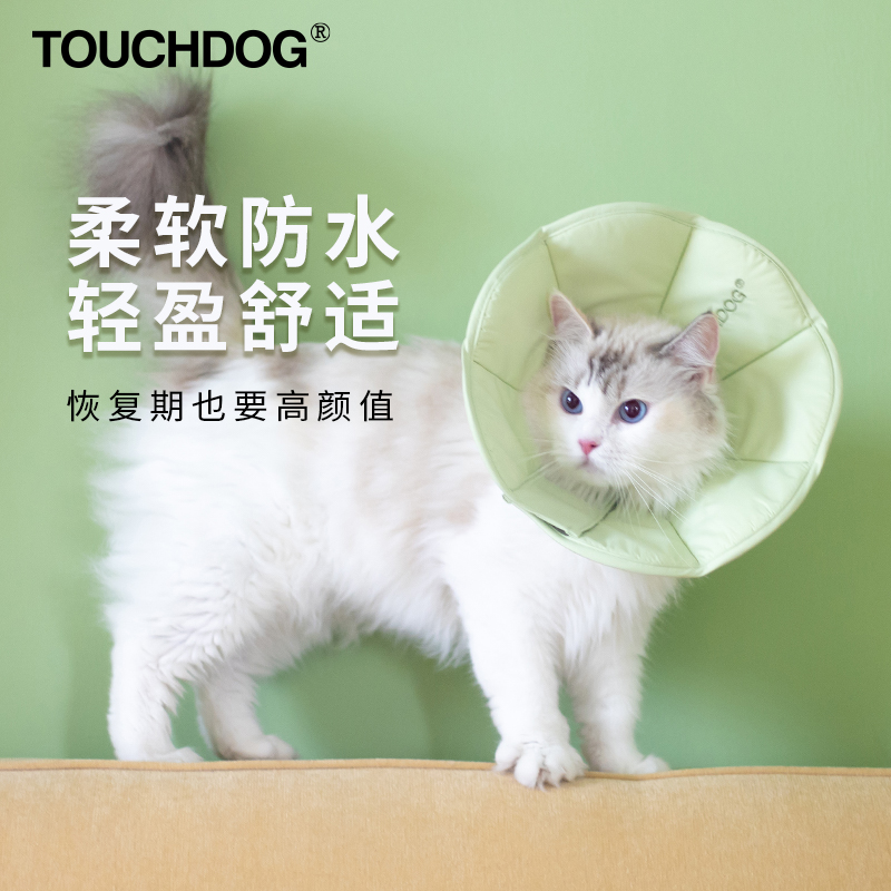 Touchdog伊丽莎白圈绝育耻辱圈