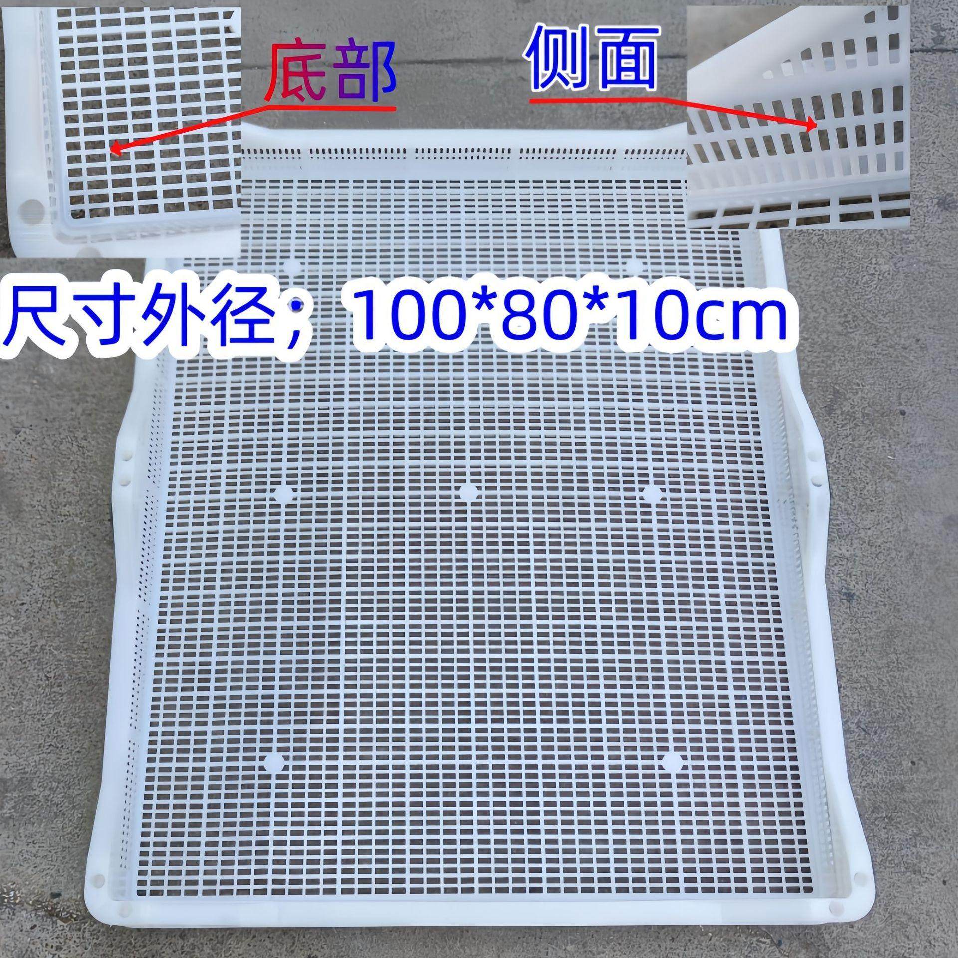 晾晒网凉晒食品网筛晒东西的干货网晒菜晒苹果干大枣桑葚茶叶神器,包装,塑料周转箱,淘宝优惠券,粉丝福利购,淘宝优惠卷