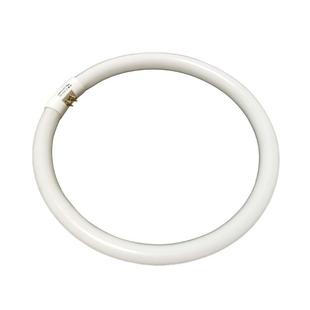 内墙涂料墙体防水墙面修补修补膏粉墙翻刷白色腻子膏补墙膏防潮