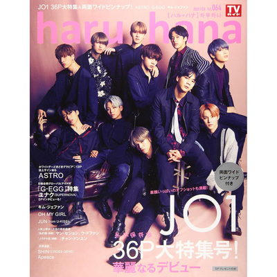 现货 haru hana 通常版 ハルハナ  VOL. 64  JO1 G-EGG 金在焕 梁世宗 禹棹焕 日本haru hana杂志 PRODUCE 10
