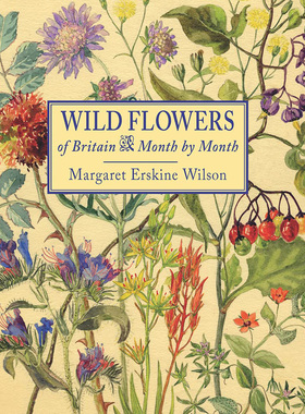 现货 Wild Flowers of Britain: Month Month 玛格丽特的四季英国野花 Margaret Erskine Wilson 植物学家水彩绘画作品图书