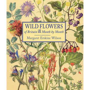四季 Wild Month 现货 英国野花 Wilson Erskine Flowers 植物学家水彩绘画作品图书 Britain Margaret 玛格丽特
