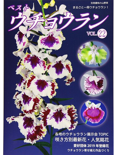 现货 ベストウチョウラン VOL22 日本蝴蝶兰图书 花卉兰花展TOPIC