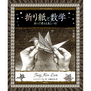 原版 现货 日文版 折って考える美しい形日本折叠纸张书 进口图书 折り紙と数学