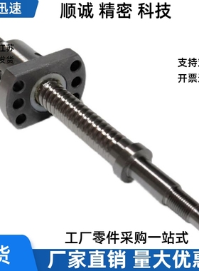 XSVR BSSE BSS BSSC1505 1210 1510 1520 2010 2020滚珠丝杆丝杠