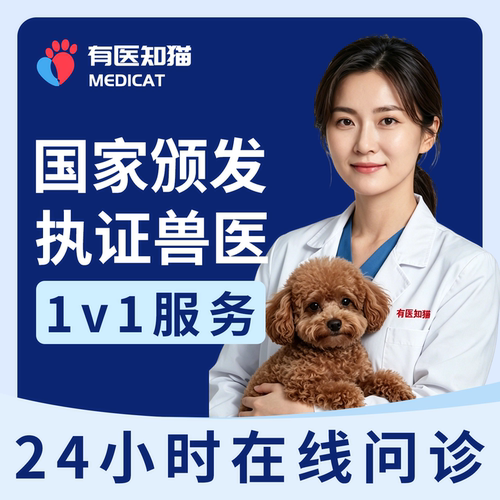 有医知猫宠物在线问诊24小时
