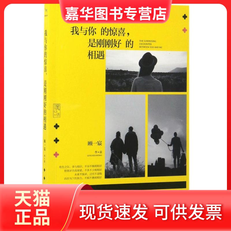 【正版现货】 我与你的惊喜,是刚刚好的相遇 顾一宸 著 江苏文艺出版社