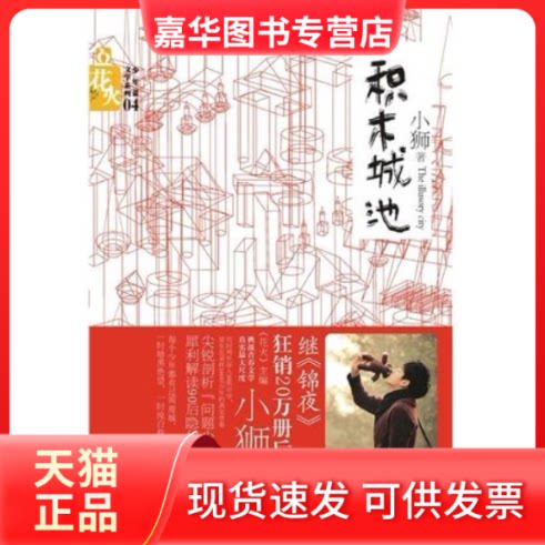 【正版现货】 积木城池 小狮 湖南少年儿童出版社